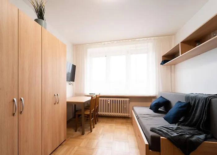 Studio Apartment In Brno-Center