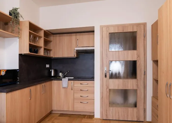 Studio Apartment In Brno-Center