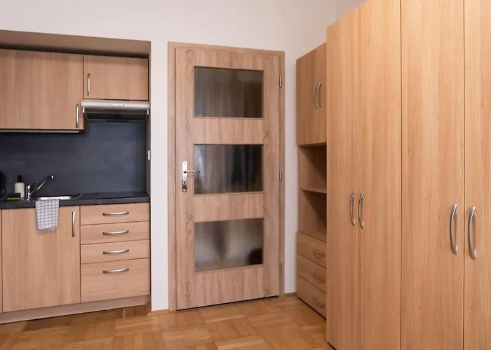 Studio Apartment In Brno-Center