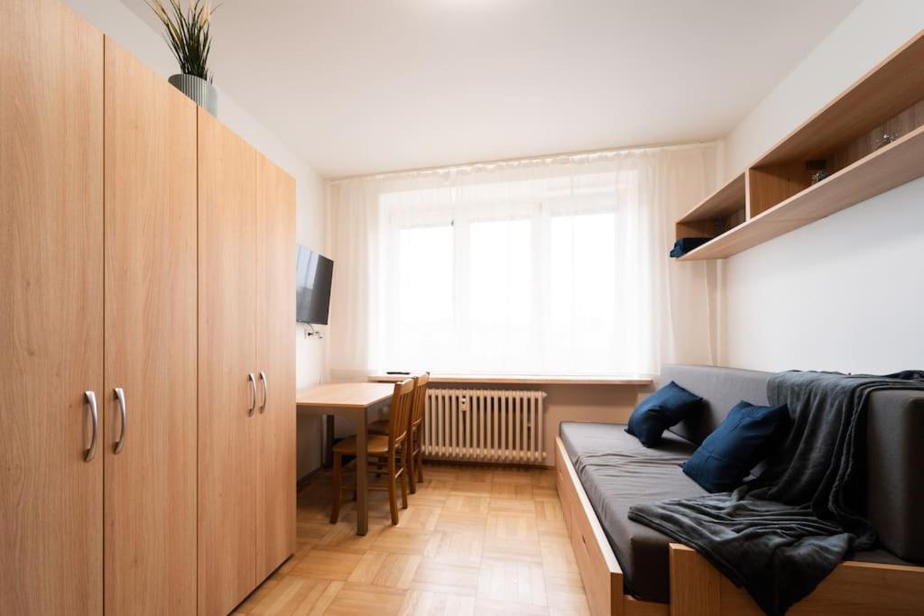公寓 In Brno-center