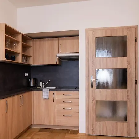 Studio Apartment In Brno-Center Exterior photo